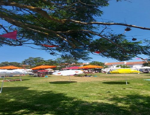 Moradores e Amigos de Varge Mondar organizam Pic Nic da Comunidade