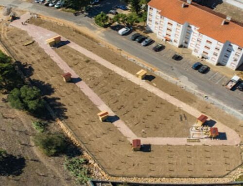 Câmara de Sintra abre candidaturas à Horta Solidária da Nova Imagem